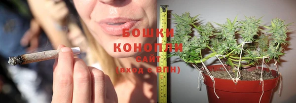стафф Армянск
