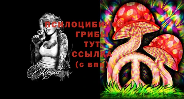 шишки Алексеевка