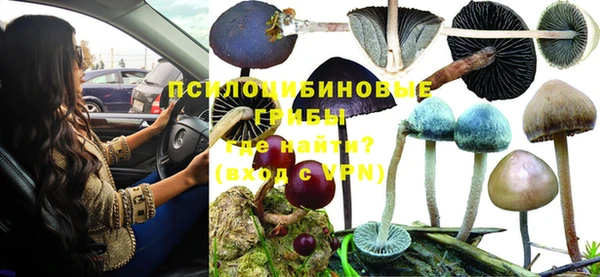 шишки Алексеевка