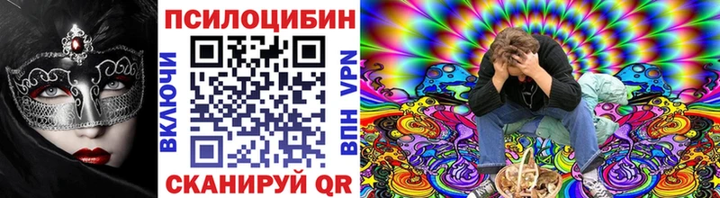 Псилоцибиновые грибы Cubensis Новомосковск